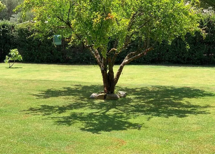 Casa A 5 Minuti Dal Mare - Su Giudeu Tuerredda Holiday home *
