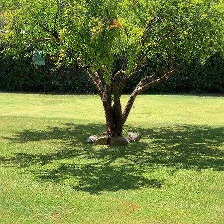 Casa A 5 Minuti Dal Mare - Su Giudeu Tuerredda Holiday home *